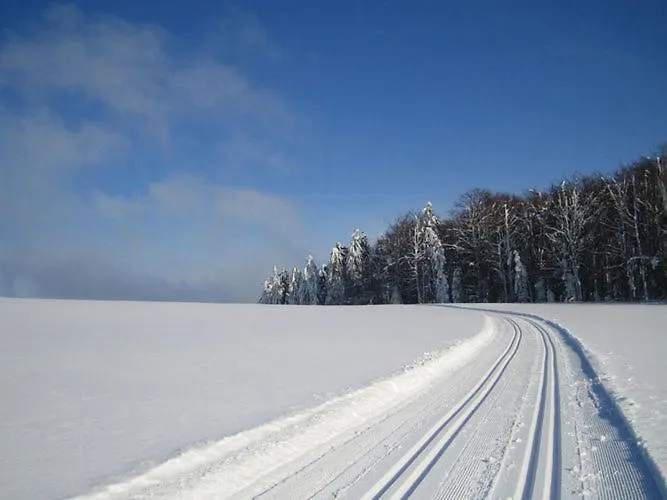 Apartment In The Bavarian Forest Sonnen 0*,